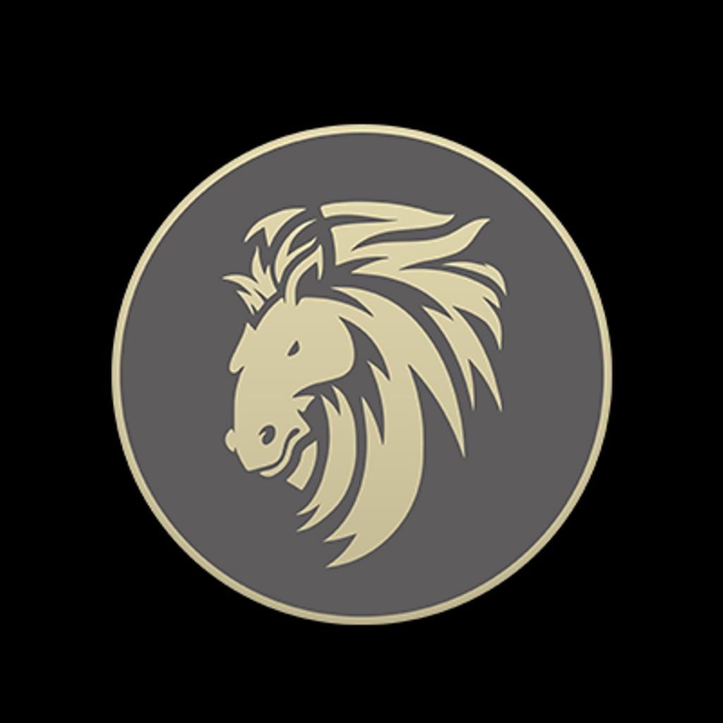 steed-token-std-to-tether-usd-std-usdt-latoken-exchange